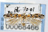  ( - CNCLEP00068466)  @13 [ ] CreativeCommons - Attribution Non-Commercial Share-Alike (2007) Unspecified Canadian National Collection