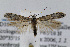  ( - JD1872)  @14 [ ] Copyright (2007) Unspecified Canadian National Collection