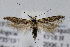  ( - JD1976)  @14 [ ] Copyright (2007) Unspecified Canadian National Collection