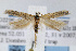  ( - JD2296)  @14 [ ] Copyright (2007) Unspecified Canadian National Collection