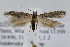  ( - JD2341)  @14 [ ] Copyright (2007) Unspecified Canadian National Collection