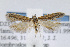  ( - JD2357)  @14 [ ] Copyright (2007) Unspecified Canadian National Collection