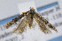  ( - JD2415)  @13 [ ] Copyright (2007) Unspecified Canadian National Collection