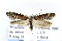  ( - BIRD24835)  @14 [ ] Copyright (2007) Unspecified Canadian National Collection