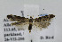  ( - BIRD24861)  @13 [ ] Copyright (2007) Unspecified Canadian National Collection