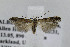  ( - BIRD24862)  @13 [ ] Copyright (2007) Unspecified Canadian National Collection