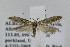  ( - BIRD24863)  @14 [ ] Copyright (2007) Unspecified Canadian National Collection