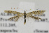  ( - CNCLEP00005922.1)  @14 [ ] CreativeCommons - Attribution Non-Commercial Share-Alike (2011) Jean-Francois Landry Canadian National Collection