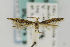  ( - CNCLEP00044597)  @14 [ ] CreativeCommons - Attribution Non-Commercial Share-Alike (2011) Jean-Francois Landry Canadian National Collection