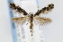  ( - CNCLEP00067818)  @13 [ ] CreativeCommons - Attribution Non-Commercial Share-Alike (2007) Unspecified Canadian National Collection