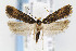  ( - CNCLEP00067829)  @15 [ ] CreativeCommons - Attribution Non-Commercial Share-Alike (2007) Unspecified Canadian National Collection