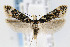  ( - CNCLEP00067831)  @14 [ ] CreativeCommons - Attribution Non-Commercial Share-Alike (2007) Unspecified Canadian National Collection