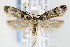  ( - CNCLEP00067833)  @14 [ ] CreativeCommons - Attribution Non-Commercial Share-Alike (2007) Unspecified Canadian National Collection