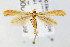  ( - CNCLEP00067839)  @13 [ ] CreativeCommons - Attribution Non-Commercial Share-Alike (2007) Unspecified Canadian National Collection