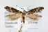  ( - JD3820)  @14 [ ] Copyright (2007) Unspecified Canadian National Collection