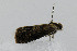  ( - CNCLEP00078002)  @12 [ ] CreativeCommons - Attribution Non-Commercial Share-Alike (2007) Unspecified Canadian National Collection
