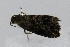  ( - CNCLEP00078004)  @12 [ ] CreativeCommons - Attribution Non-Commercial Share-Alike (2007) Unspecified Canadian National Collection