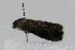  ( - CNCLEP00078005)  @12 [ ] CreativeCommons - Attribution Non-Commercial Share-Alike (2007) Unspecified Canadian National Collection