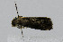  ( - CNCLEP00078006)  @12 [ ] CreativeCommons - Attribution Non-Commercial Share-Alike (2007) Unspecified Canadian National Collection