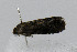  ( - CNCLEP00078007)  @12 [ ] CreativeCommons - Attribution Non-Commercial Share-Alike (2007) Unspecified Canadian National Collection