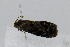  ( - CNCLEP00078011)  @12 [ ] CreativeCommons - Attribution Non-Commercial Share-Alike (2007) Unspecified Canadian National Collection