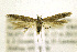  ( - JD11002)  @14 [ ] Copyright (2013) Jean-Francois Landry Canadian National Collection
