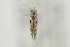  ( - LACMENT326898)  @11 [ ] Copyright (2014) Jean-Francois Landry Canadian National Collection
