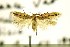  ( - MEM18653)  @11 [ ] Copyright (2014) Jean-Francois Landry Canadian National Collection