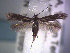  ( - POHL-10-00121)  @13 [ ] Copyright (2007) Unspecified Canadian National Collection