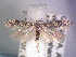  ( - POHL-10-00147)  @14 [ ] Copyright (2007) Unspecified Canadian National Collection