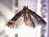  ( - POHL-10-00191)  @13 [ ] Copyright (2007) Unspecified Canadian National Collection