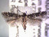  ( - POHL-10-00192)  @13 [ ] Copyright (2007) Unspecified Canadian National Collection