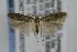  ( - CNCLEP00007072)  @14 [ ] CreativeCommons - Attribution Non-Commercial Share-Alike (2007) Unspecified Canadian National Collection