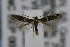  ( - CNCLEP00007274)  @13 [ ] CreativeCommons - Attribution Non-Commercial Share-Alike (2007) Unspecified Canadian National Collection