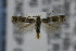  ( - CNCLEP00007275)  @12 [ ] CreativeCommons - Attribution Non-Commercial Share-Alike (2007) Unspecified Canadian National Collection