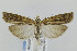  ( - CNCLEP00007319)  @13 [ ] CreativeCommons - Attribution Non-Commercial Share-Alike (2007) Unspecified Canadian National Collection
