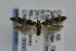  ( - CNCLEP00007396)  @13 [ ] CreativeCommons - Attribution Non-Commercial Share-Alike (2007) Unspecified Canadian National Collection