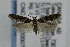  ( - CNCLEP00007397)  @13 [ ] CreativeCommons - Attribution Non-Commercial Share-Alike (2007) Unspecified Canadian National Collection