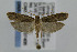  ( - CNCLEP00007408)  @14 [ ] CreativeCommons - Attribution Non-Commercial Share-Alike (2007) Unspecified Canadian National Collection