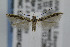  ( - CNCLEP00007425)  @13 [ ] CreativeCommons - Attribution Non-Commercial Share-Alike (2007) Unspecified Canadian National Collection