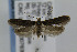  ( - CNCLEP00007639)  @14 [ ] CreativeCommons - Attribution Non-Commercial Share-Alike (2007) Unspecified Canadian National Collection
