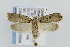  ( - CNCLEP00007934)  @14 [ ] CreativeCommons - Attribution Non-Commercial Share-Alike (2007) Unspecified Canadian National Collection
