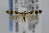  ( - CNCLEP00008000)  @13 [ ] CreativeCommons - Attribution Non-Commercial Share-Alike (2007) Unspecified Canadian National Collection