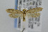  ( - CNCLEP00008032)  @13 [ ] CreativeCommons - Attribution Non-Commercial Share-Alike (2007) Unspecified Canadian National Collection