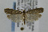  ( - CNCLEP00008334)  @13 [ ] CreativeCommons - Attribution Non-Commercial Share-Alike (2007) Unspecified Canadian National Collection