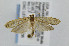  ( - CNCLEP00008338)  @13 [ ] CreativeCommons - Attribution Non-Commercial Share-Alike (2007) Unspecified Canadian National Collection