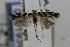  ( - CNCLEP00019395)  @13 [ ] CreativeCommons - Attribution Non-Commercial Share-Alike (2007) Unspecified Canadian National Collection