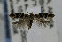  ( - CNCLEP00019398)  @13 [ ] CreativeCommons - Attribution Non-Commercial Share-Alike (2007) Unspecified Canadian National Collection