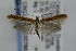  ( - CNCLEP00035788)  @13 [ ] CreativeCommons - Attribution Non-Commercial Share-Alike (2007) Unspecified Canadian National Collection