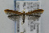  ( - CNCLEP00035936)  @13 [ ] CreativeCommons - Attribution Non-Commercial Share-Alike (2007) Unspecified Canadian National Collection